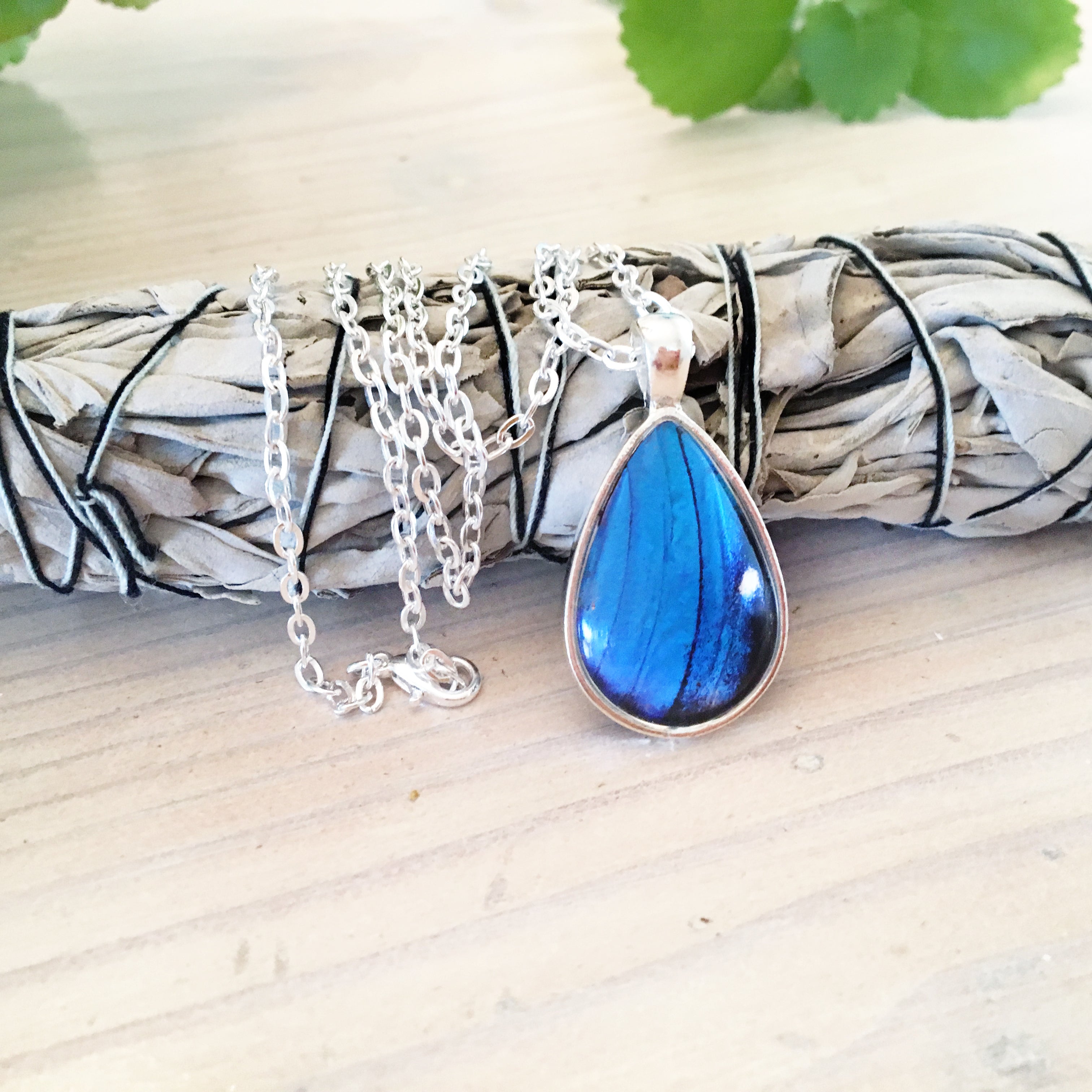 Morpho - Butterfly Wing Necklace