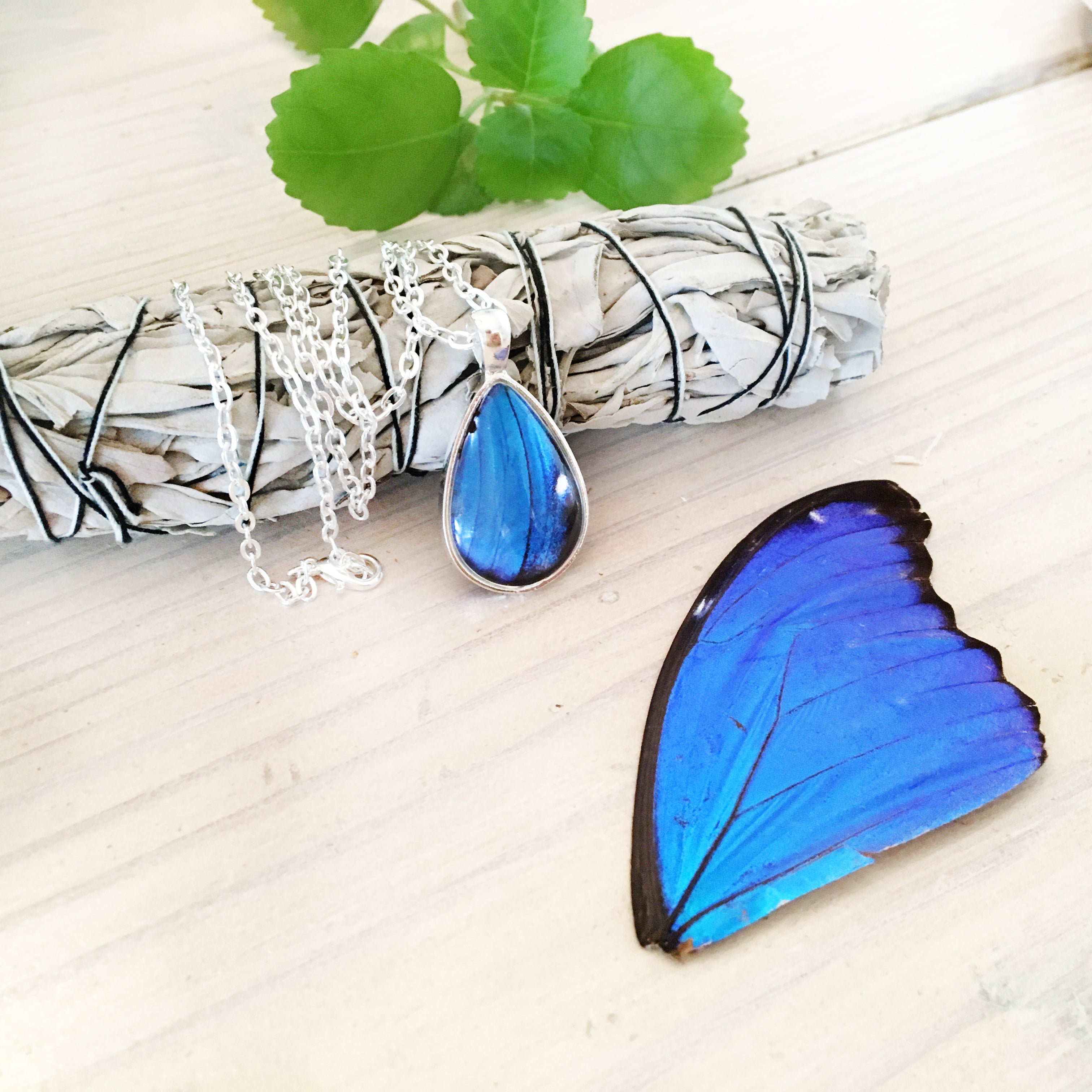 Morpho - Butterfly Wing Necklace