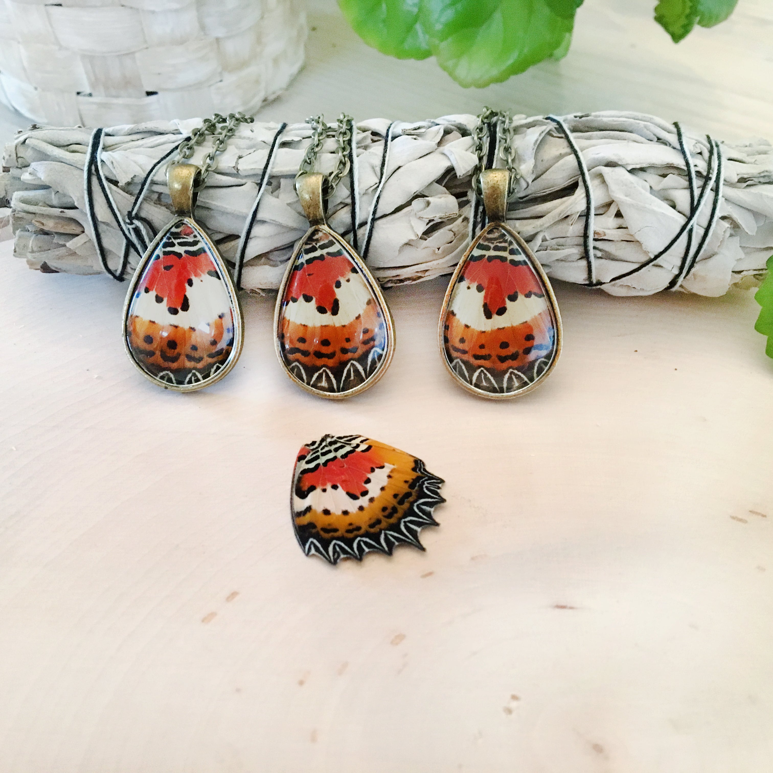 Malay Lacewing - Butterfly Wing Necklace