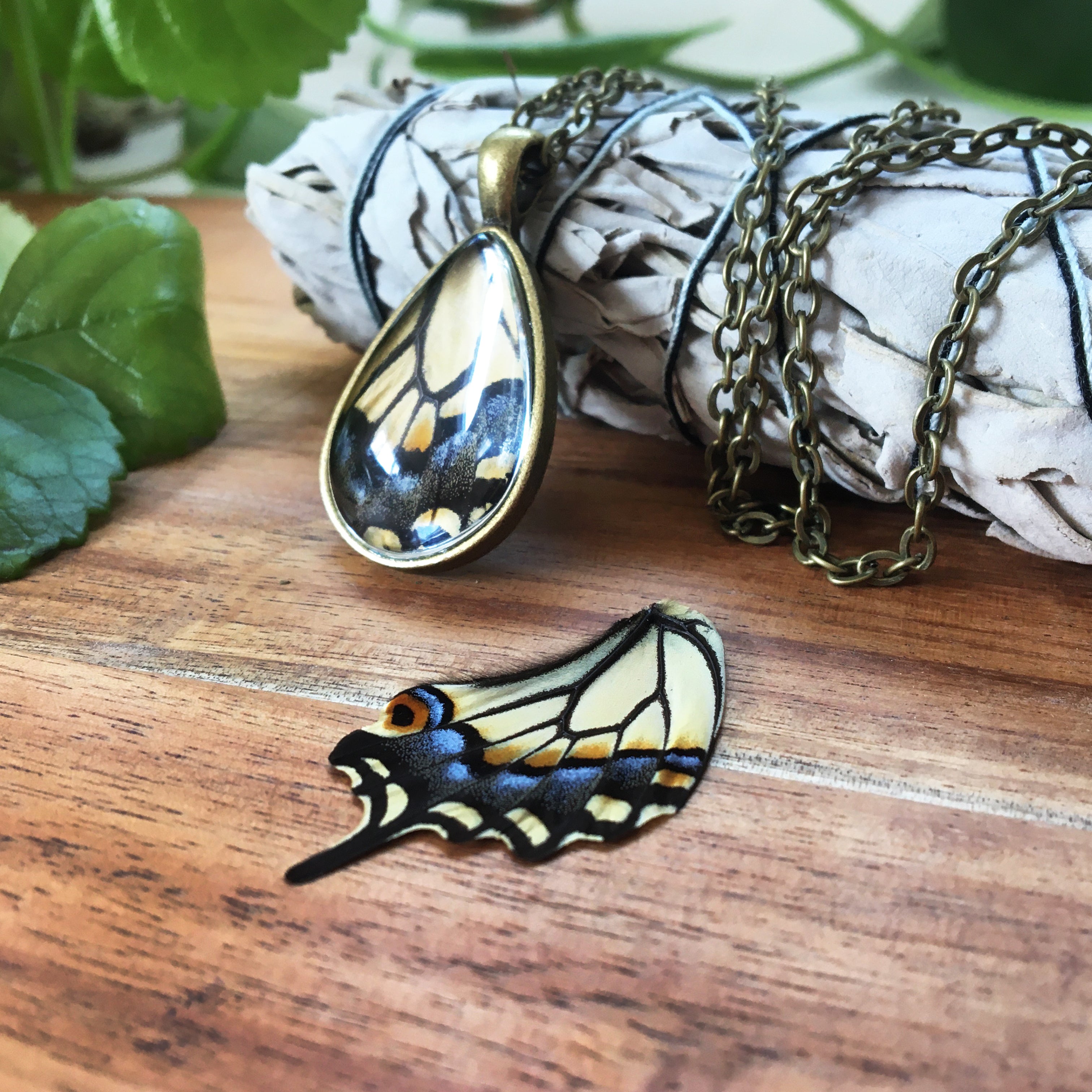 Swallow Tail - Butterfly Wing Necklace